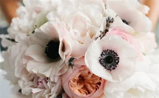 男属鼠女属牛生鸡宝宝的最佳选择与注意事项