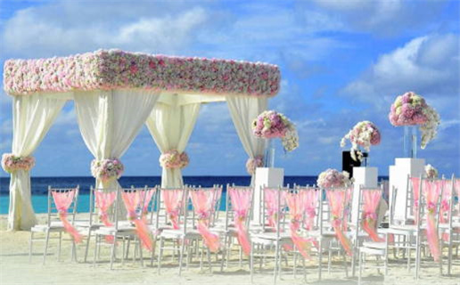 属兔婆婆和属鼠的媳妇_属兔的婆婆和属鼠的媳妇儿