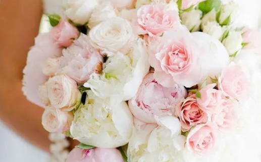 生肖鼠的传奇故事与智慧启示