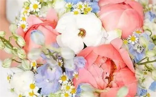 属鼠相生生肖解析助你事业顺利与感情和谐