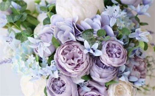 生肖鼠后天财运解析与提升策略