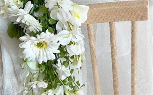 2018年生肖鼠直播(2018年生肖鼠直播)