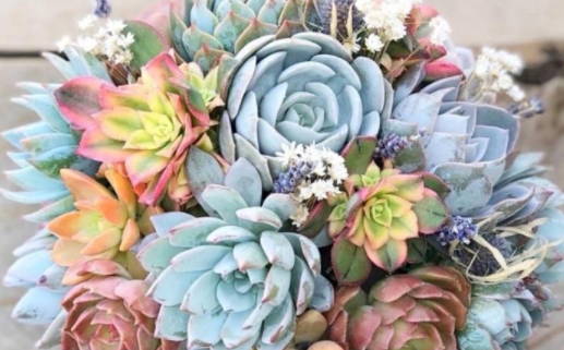 免费一生运势测算轻松掌握命运秘密