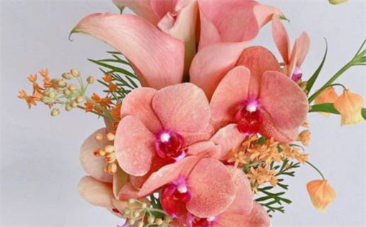 掷钱法占卜方法(掷钱法占卜方法有哪些)