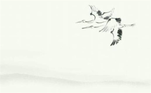 射手座是真的很木讷吗男生(射手座是真的很木讷吗男生)