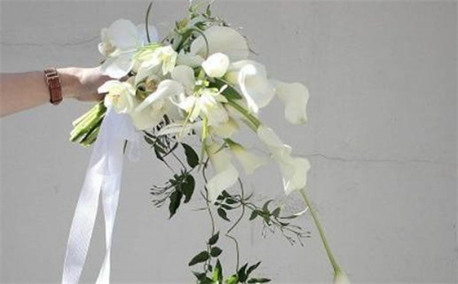 如何判断住宅的风水好坏_住宅怎样看风水