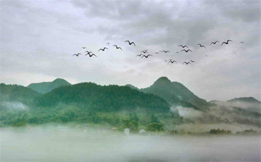 96生生肖鼠7月的运势女_96鼠7月运势如何