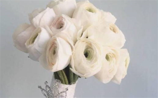 农历二〇二六年正月初六黄历不适宜办理结婚证吗,领证好日子查询